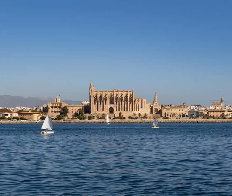 Mallorca: Visit Palma Speedboat adrenaline & snorkelling - Entering the right mood: what this 2-hour speedboat really delivers