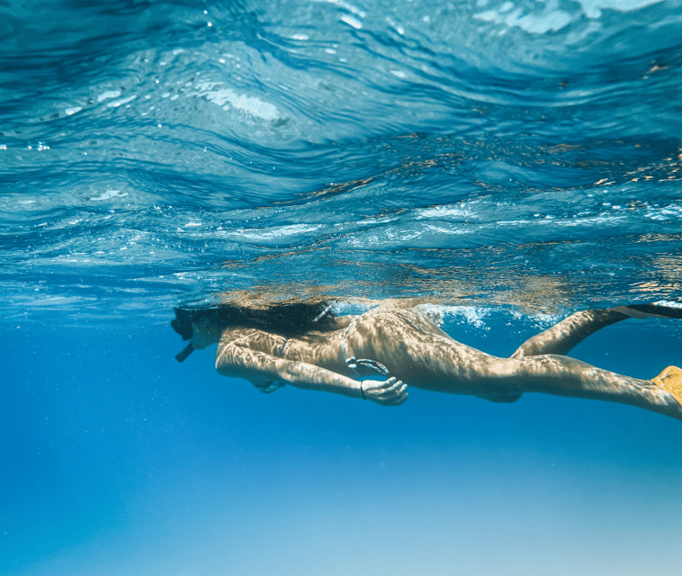 Mallorca: Visit Palma Speedboat adrenaline & snorkelling - Price and value: what $53 buys you in Mallorca terms