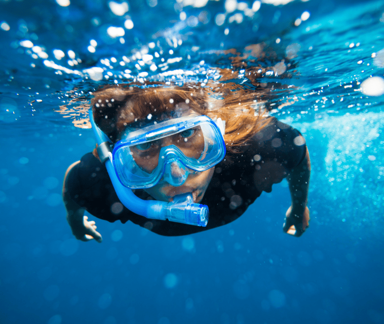 Mallorca: Visit Palma Speedboat adrenaline & snorkelling - Who this Mallorca speedboat snorkel trip suits best