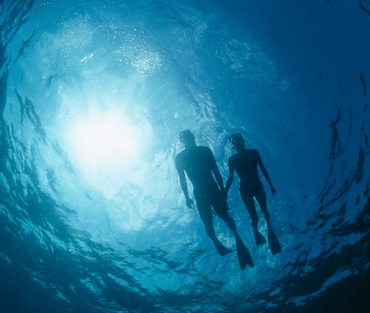 Mallorca: Visit Palma Speedboat adrenaline & snorkelling - Simple boarding tips so your day starts smoothly