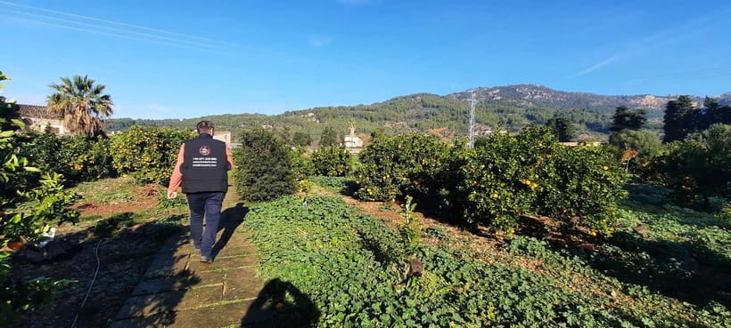 Mallorca: West Coast & Orange Valley Minbustour - How to Prepare So Your Day Feels Easy