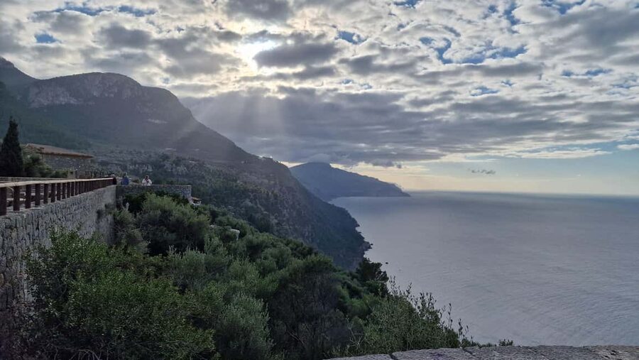 Mallorca: West Coast & Orange Valley Minbustour - Sóller Old Town Break: History, Pace, and Citrus Proximity