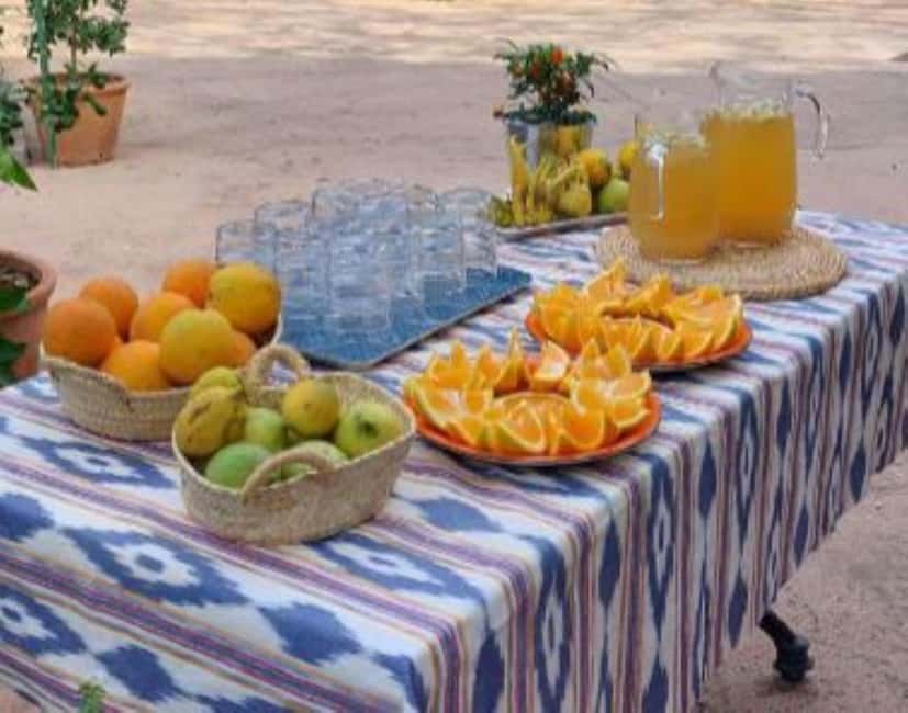 Mallorca: West Coast & Orange Valley Minbustour - Orange Valley and Organic Finca Tastings: The Main Event