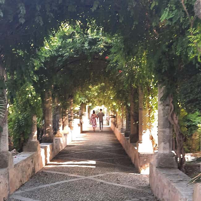 Mallorca: West Coast & Orange Valley Minbustour - Price and Value: Why $123 Often Feels Fair Here