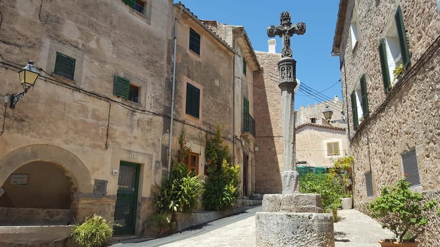 Mallorca: West Coast & Orange Valley Minbustour - Who This Tour Suits Best, and Who Should Skip It