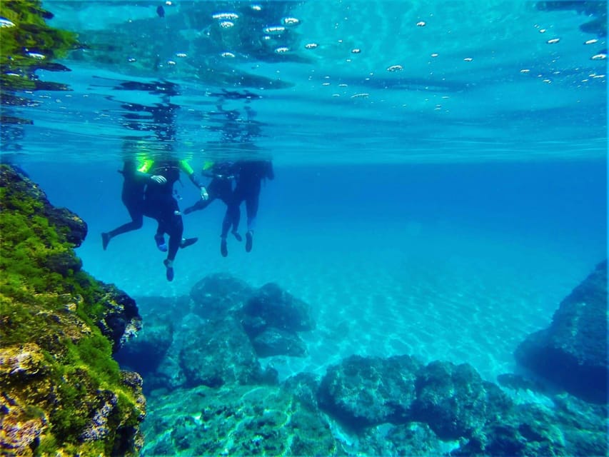 Mallorca: Wild coasteering tour - Key highlights at a glance