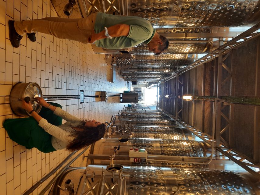 Mallorca: Wine Cellar Tour XL - including 3 Wine Tastings - What You Taste: Up to 4 Majorcan Wines per Bodega