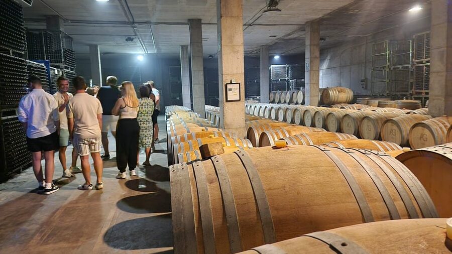 Mallorca: Wine Cellar Tour XL - including 3 Wine Tastings - Value and What Is Not Included (So You Don’t Get Surprised)