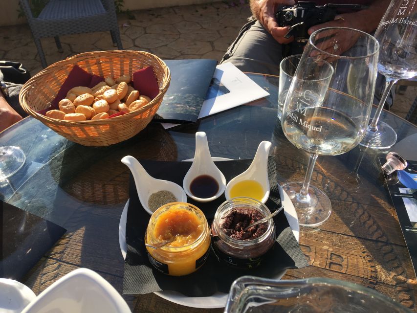 Mallorcan Family Winery Authentic Wine Tasting Experience - Language and guide style, so you actually enjoy the explanations