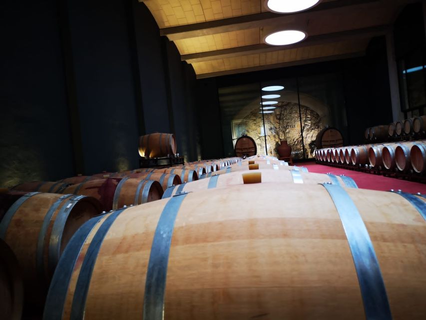 Mallorcas Emblematic Wineries Small Group Tour, two wineries - The van, the timing, and why pickup options matter