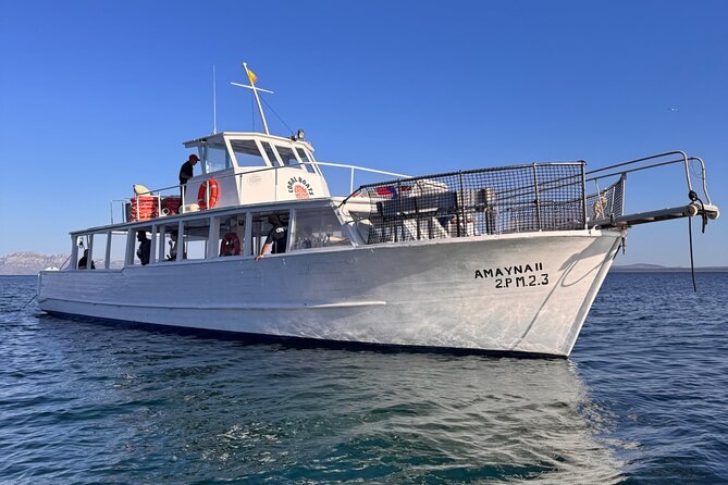Morning Boat Trip in Alcudia with Swim Stop & Tapas - Paddleboarding and snorkel gear, plus that bonus onboard snack vibe
