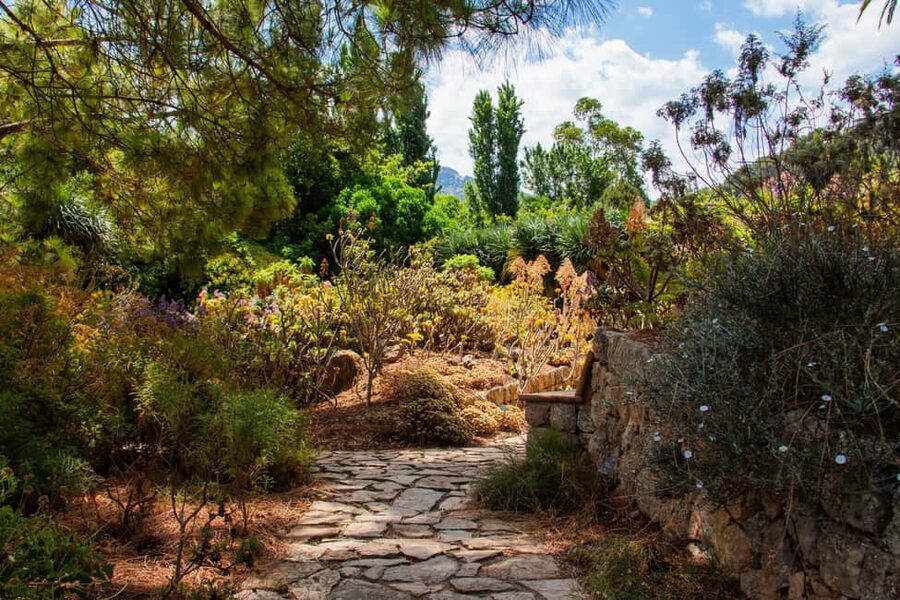 MUCBO | Sóller Botanical Garden - Balearic Museum of Natural Sciences - Key Things You Should Know Before You Go