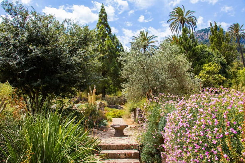 MUCBO | Sóller Botanical Garden - Balearic Museum of Natural Sciences - Botanical Garden Walk: Living Plant Exhibitions Plus the Science Stuff