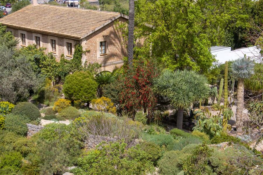 MUCBO | Sóller Botanical Garden - Balearic Museum of Natural Sciences - Timing and Parking at MUCBO in Sóller