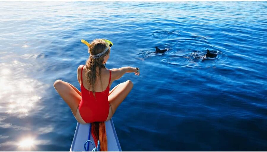 North Coast Dolphins Sunrise Adventure Tour - Cruising Mallorca’s north coast: cliffs, coves, and sea caves