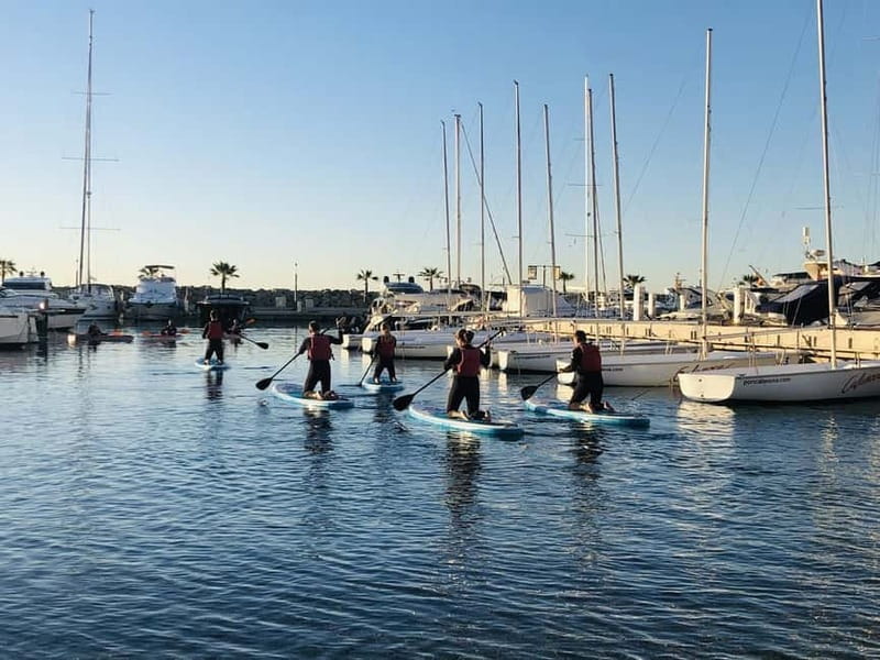 Paddle surf excursion - Quick takeaways for your SUP day
