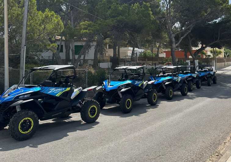 Paguera: 2 Hour Buggy Tour - Key points before you book