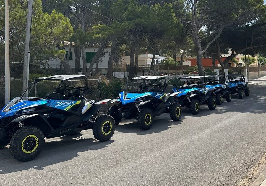 Paguera: 2 Hour Buggy Tour - Calvià coastline photo stops: Malgrats Island and Cap Falco views