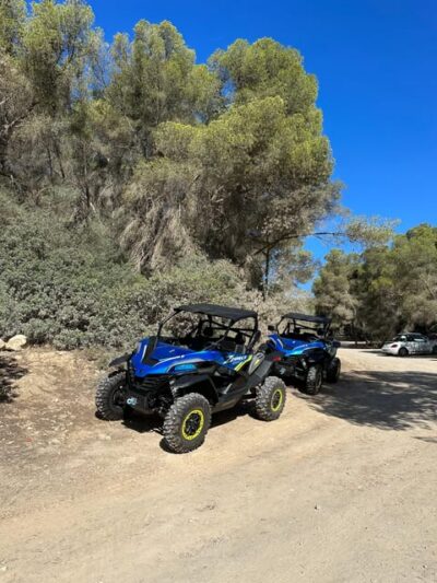 Paguera: 2 Hour Buggy Tour