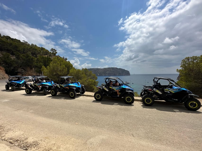 Paguera: 2 Hour Buggy Tour - Camp de Mar return loop: golf fields, sea air, and timing pressure