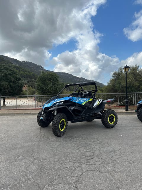 Paguera: 2 Hour Buggy Tour - Who should do this buggy tour, and who should skip it