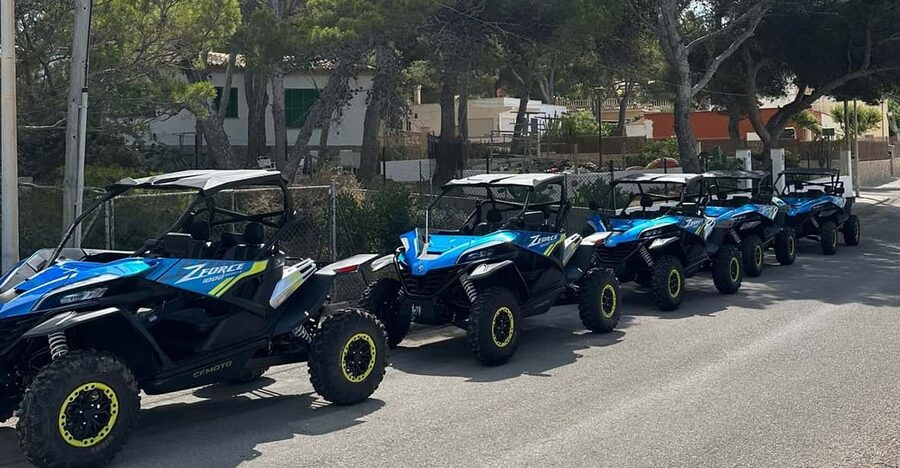 Paguera: 2 Hour Buggy Tour - Should you book Buggy Tours Paguera? My practical verdict