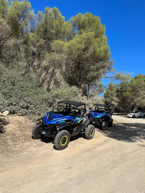Paguera: 2 Hour Buggy Tour - CF MOTO ZFORCE and the driving reality: automatic shift, real-road conditions