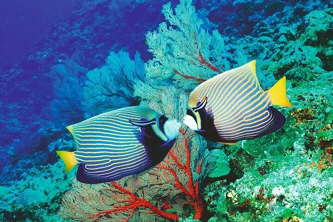Palma Acquarium with Transfer - Timing lunch and using the park’s restaurant without losing your day
