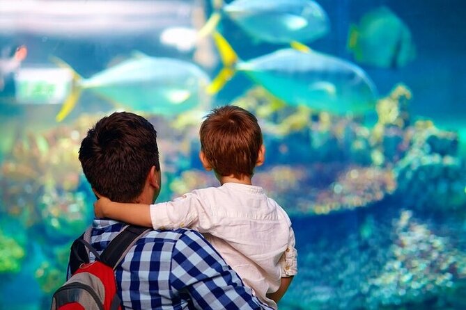 Palma Acquarium with Transfer - What I really think: best parts, based on real-world vibes, not just features