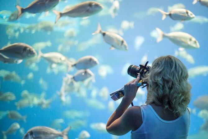 Palma Acquarium with Transfer - Value check: how $41.31 stacks up for what you actually get