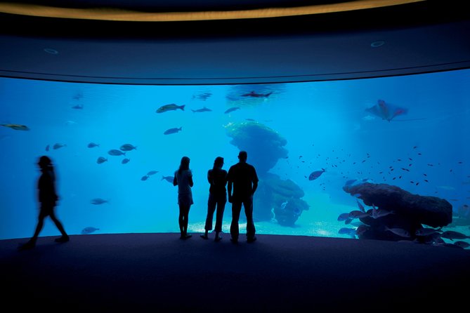 Palma Aquarium with return bus from Port Alcudia - The 55 tanks of marine life, from Mediterranean to tropical