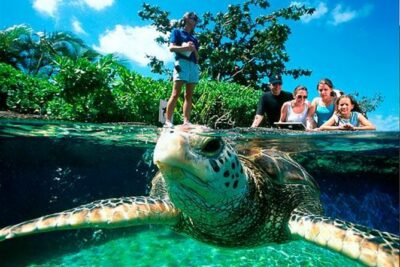 Palma Aquarium with return bus from Port Alcudia