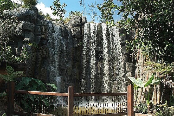 Palma Aquarium with return bus from Port Alcudia - Kids area: touch pool, pirate ship play, and cooling water