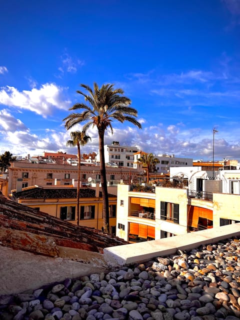 Palma authentically. Small group City tour with tapas - Key things to know before you go