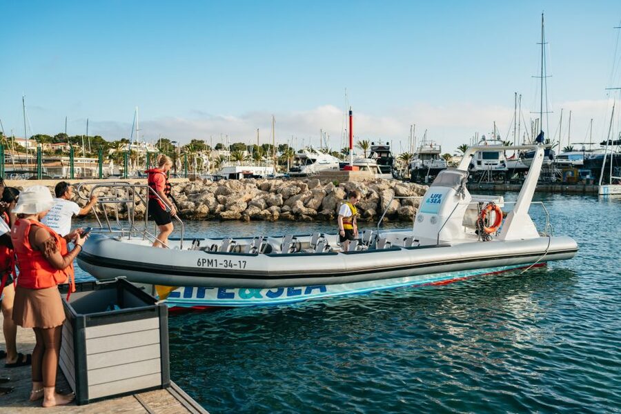 Palma Bay: 1-Hour Speedboat Adventure - Rules That Affect Comfort: Phones, Cameras, and the Bumpy-When-Waves Factor
