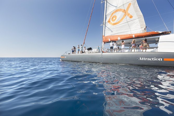 Palma Bay Catamaran Half-Day Cruise - Where You Meet at Las Golondrinas and How the Timing Works