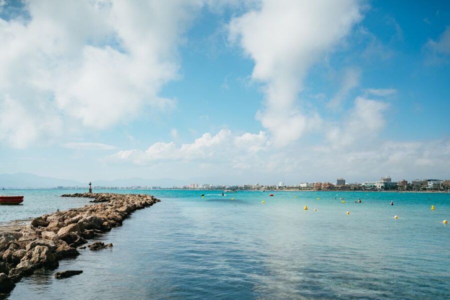 Palma Bay: Parasailing Experience - The 50-meter view: what you’ll actually be looking for up there