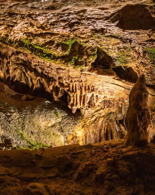 Palma: Caves of Genova Ticket & Digital Audio Guide - The 36-meter descent: what the route looks like underground