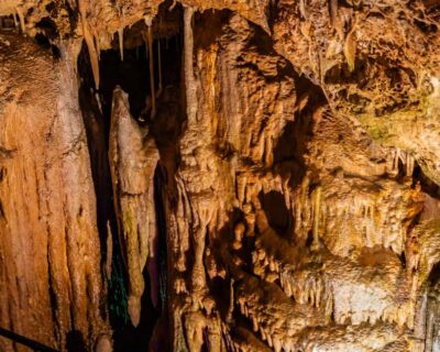 Caves of Genova Ticket & Digital Audio Guide