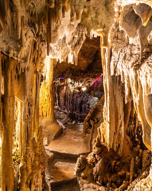 Palma: Caves of Genova Ticket & Digital Audio Guide - Timing and pacing: why 35 minutes is the sweet spot