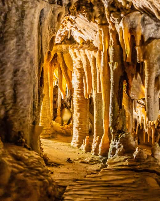Palma: Caves of Genova Ticket & Digital Audio Guide - Who should book this, and who should pass?
