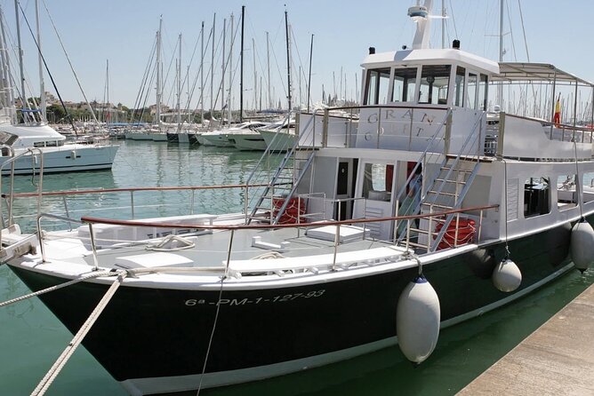 Palma city cruise with iconic views - Service quality and the “small help” that changes everything