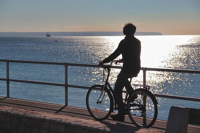 Palma de Mallorca 3-Hour Highlights and Tapas Tasting Bike Tour - Tapas tasting and lunch: what to expect from the food finish