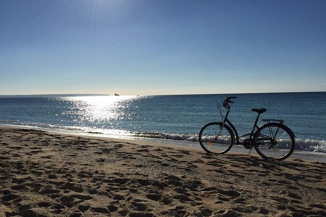 Palma de Mallorca 3-Hour Highlights and Tapas Tasting Bike Tour - Should you book this tour?
