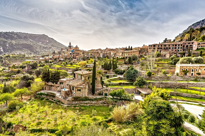 Palma de Mallorca and Valldemossa Excursion from Cruise Port - Key Highlights to Expect