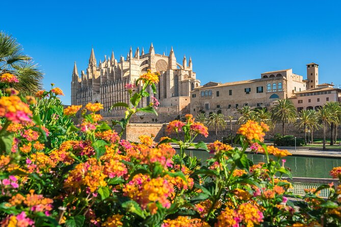 Palma de Mallorca and Valldemossa Excursion from Cruise Port - Palma to Valldemossa, the 45-Minute Start You Actually Feel