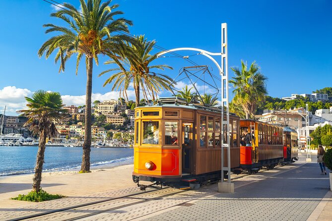 Palma de Mallorca and Valldemossa Excursion from Cruise Port - Castell de Bellver: The View Stop That Feels Like a Reward