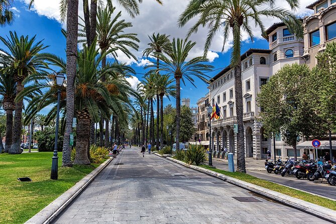 Palma de Mallorca and Valldemossa Excursion from Cruise Port - Guide Energy, Group Size, and the Pace Reality Check