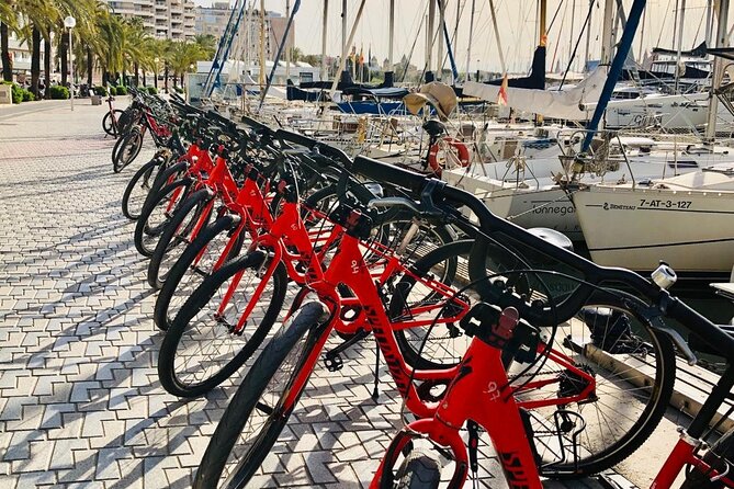 Palma de Mallorca Bike Tour with tapas - Who should book this, and who should skip it