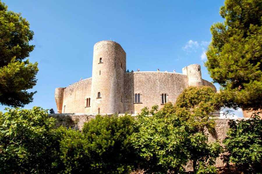 Palma de Mallorca: City Sightseeing Hop-On Hop-Off Bus Tour - Bellver Castle with Essential Experience: Timing and What to Expect